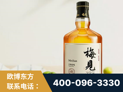 彬州-梅见青梅酒